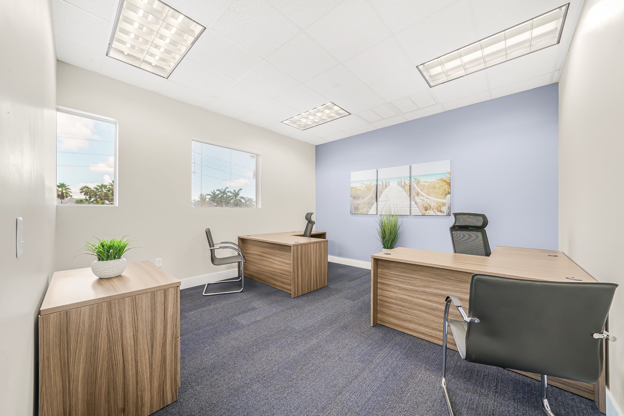Suite 29