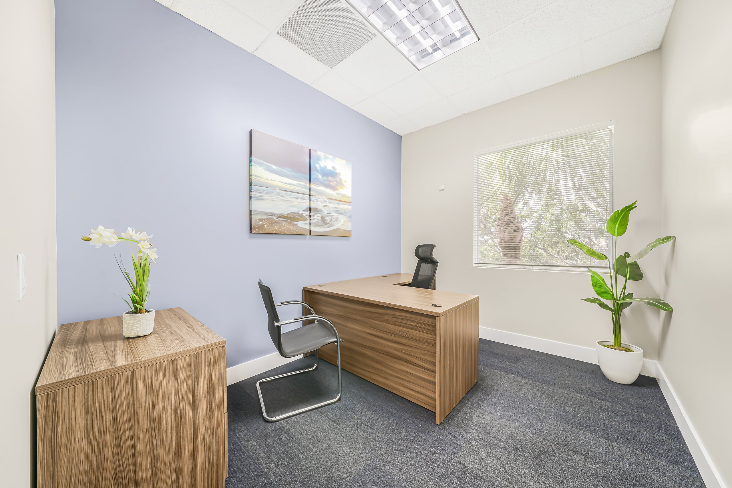 Suite 45